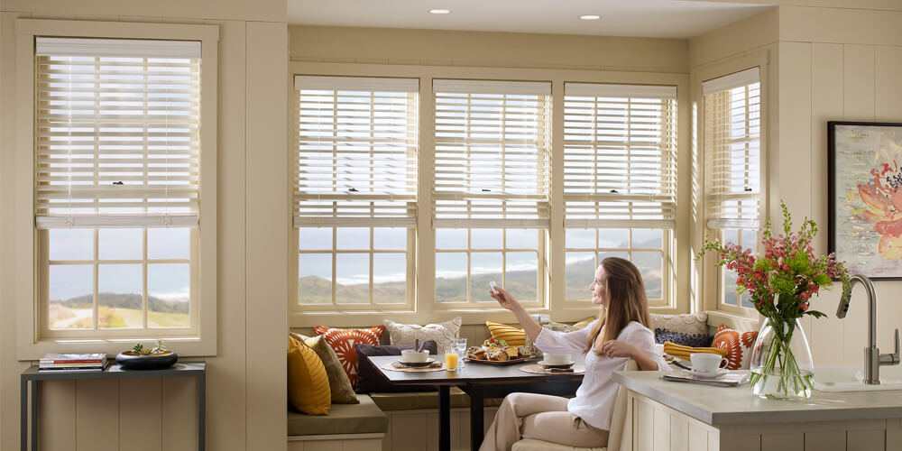 Windows Blinds